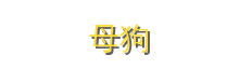 母狗